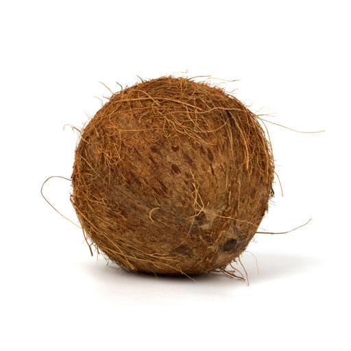 Brown-Coconut-1.jpg